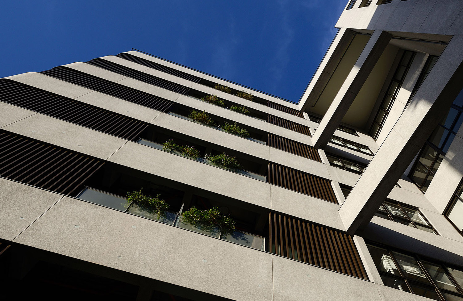 桃園悅來館圖片2